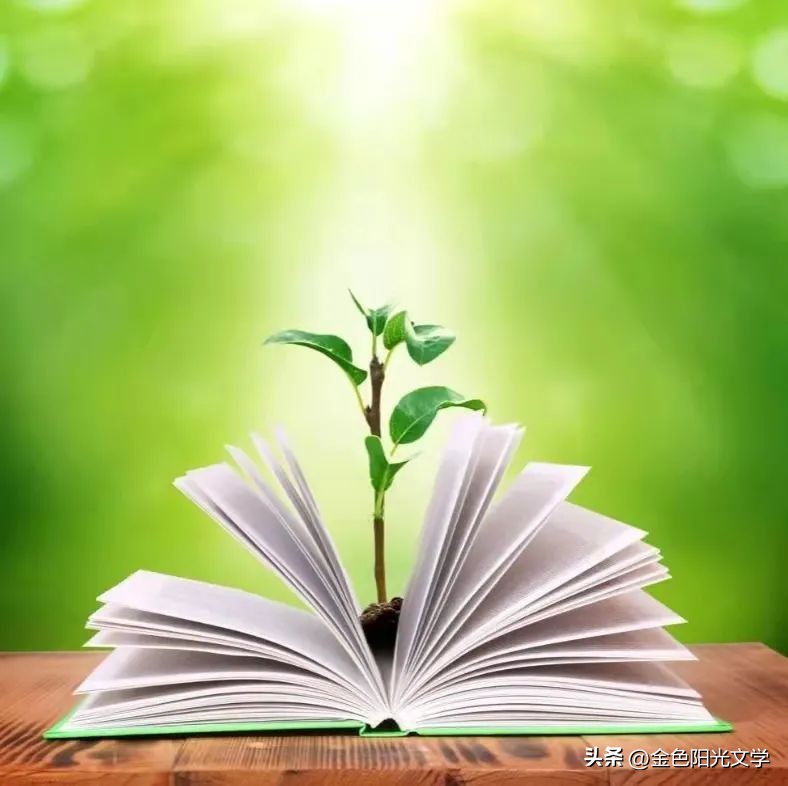 可爱的小仓鼠可爱的小熊,可爱的小仓鼠和小乌龟