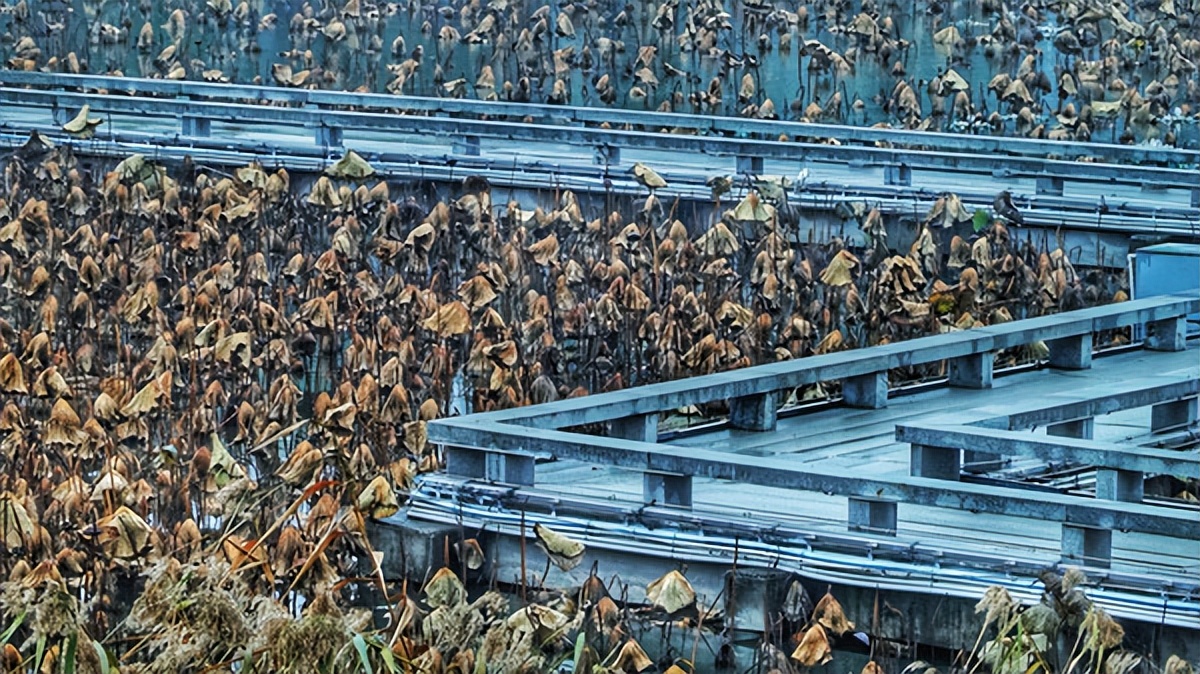 在江苏的“绿林仙海”中，寻找侠气与柔情