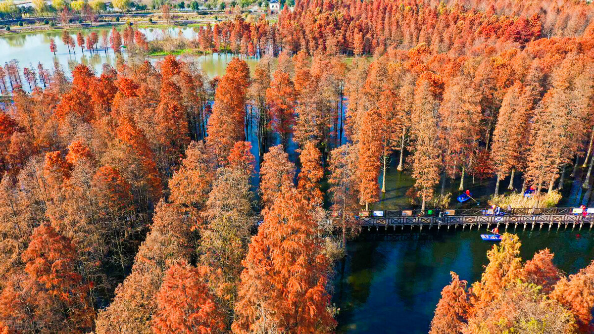 十一国庆上海不出沪去哪玩,上海国庆去哪玩