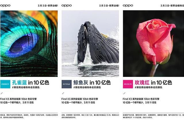 一口气看完七部国产高分电影,推荐一部看了三遍以上的国产电影