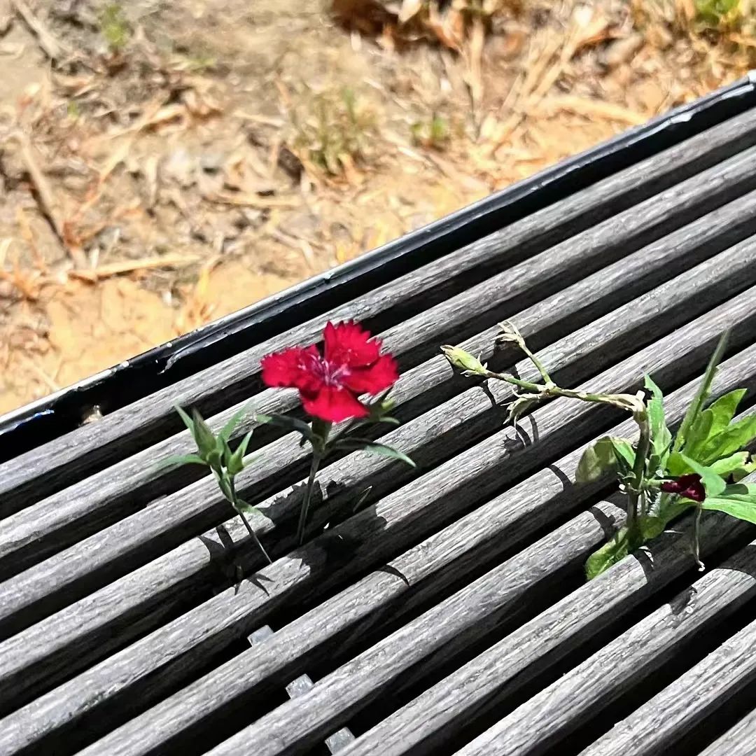 好文案英语,豆瓣上的文案