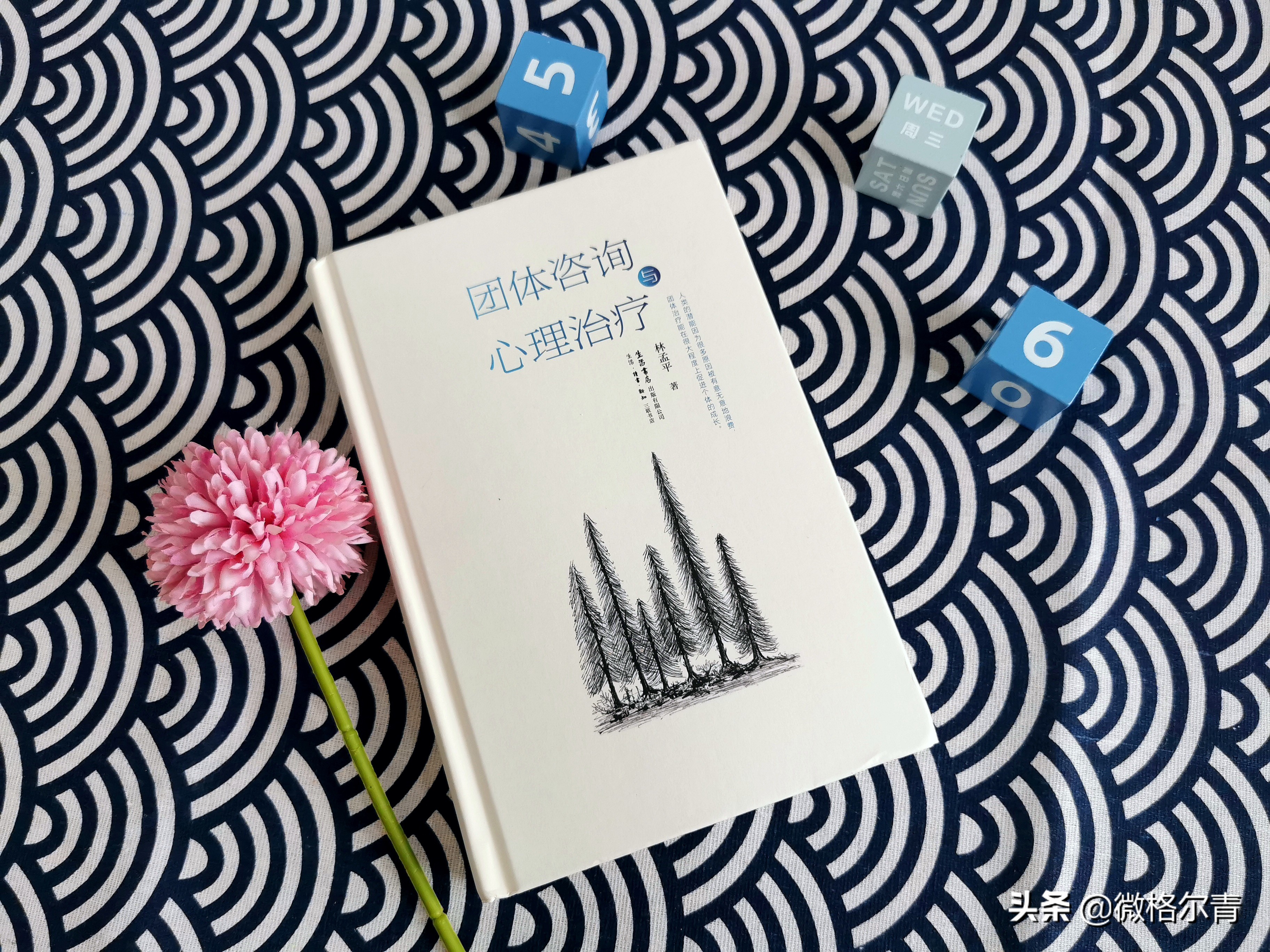 团体咨询与治疗：抱团取暖，彼此成就自我之路