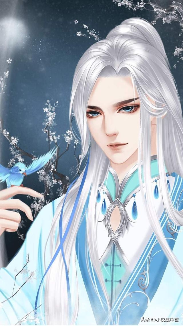 飞狐外传雌雄双煞,飞狐外传血印石