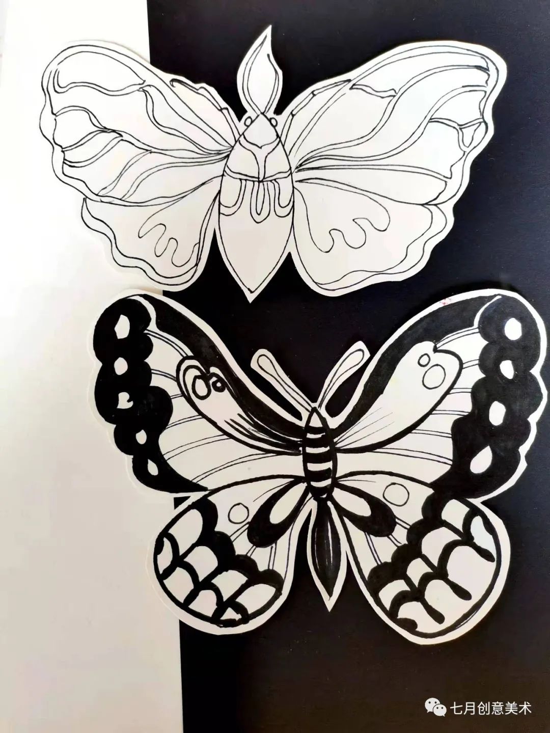 蝴蝶标本挂在墙上,蝴蝶标本制作方法