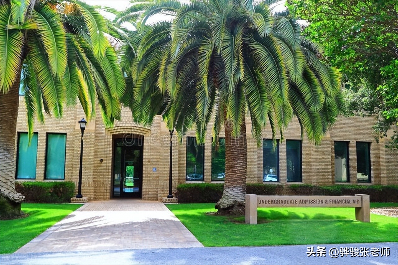 文科生学什么专业比较有前途,文科生大学到底学什么专业好