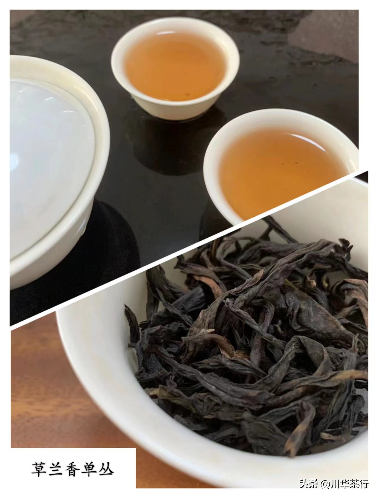 潮州凤凰单丛是红茶吗,潮州凤凰单丛茶是绿茶吗