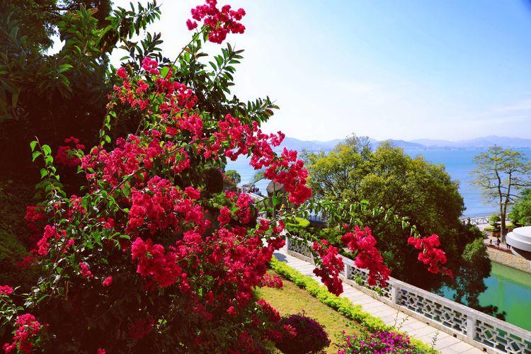 厦门带孩子去哪里玩,厦门带女朋友去哪里玩