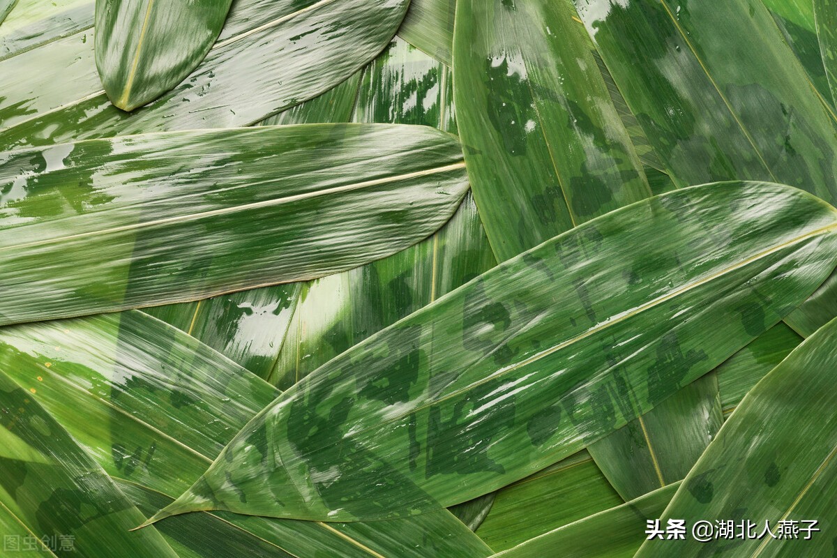 端午节的粽子怎么包的视频 (包端午节粽子方法)