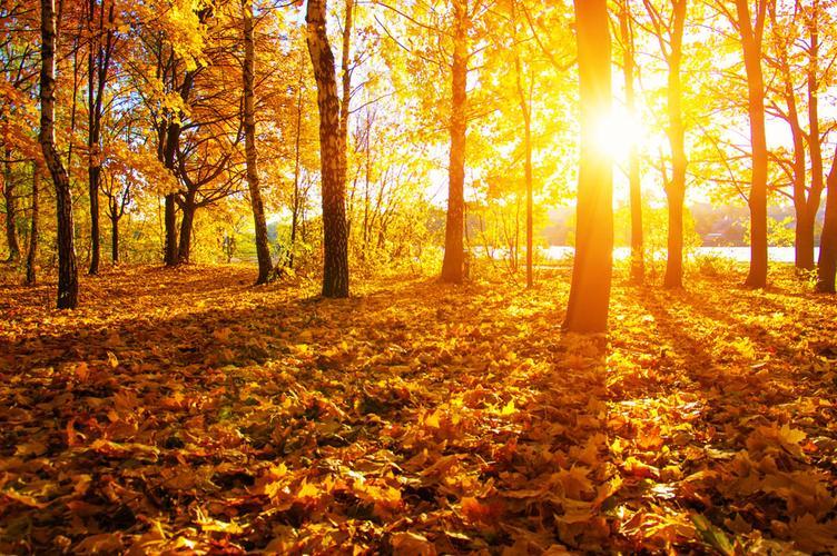 一个人一直不回你消息是怎么回事,女朋友一直不回信息怎么回复