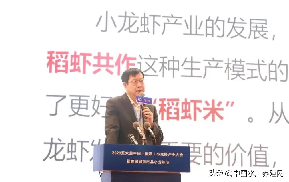 2023年南县小龙虾价格行情,南县小龙虾价格报价