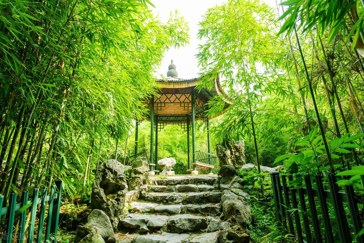 耳熟能详的10句诗词,一生必备的100句诗词