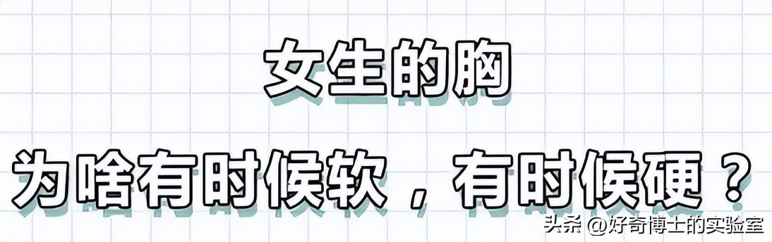 女生的胸，为什么忽软忽硬？（男生禁入）