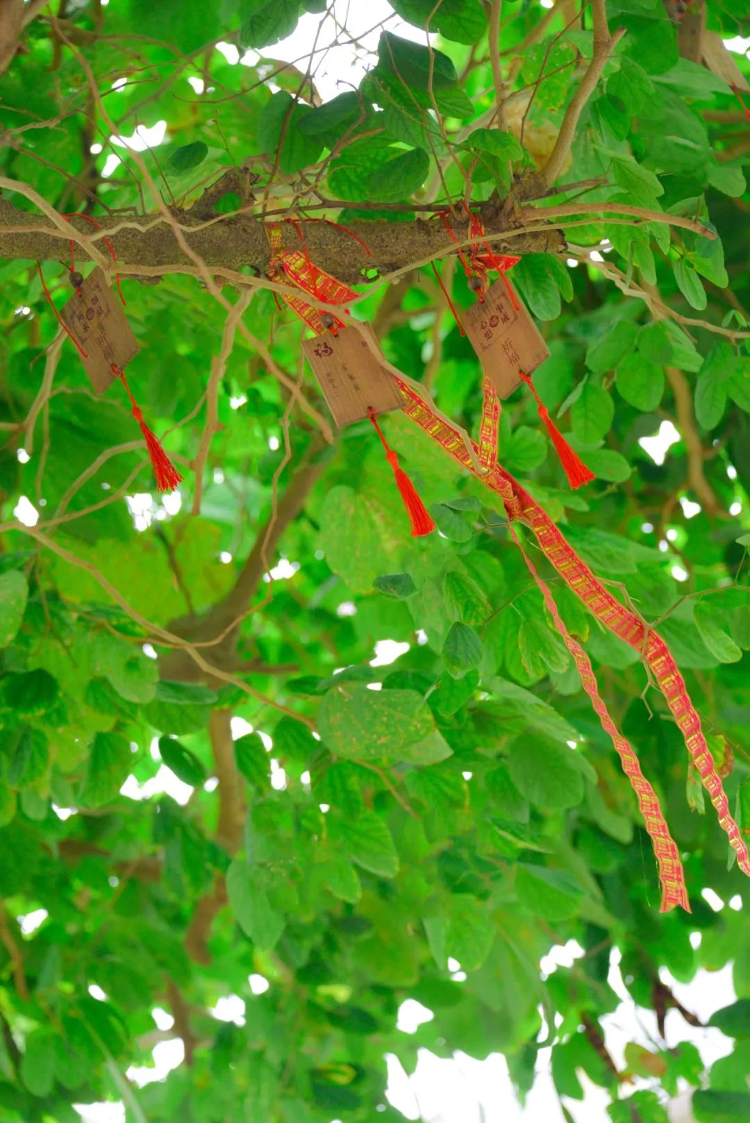 深圳市携创高级技工学校学费2021,深圳携创高级技工学校校区