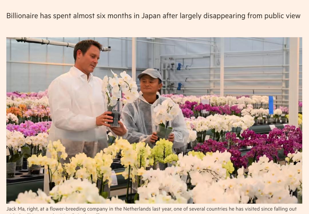 马云如果不卸任会怎样,马云卸任后的目标