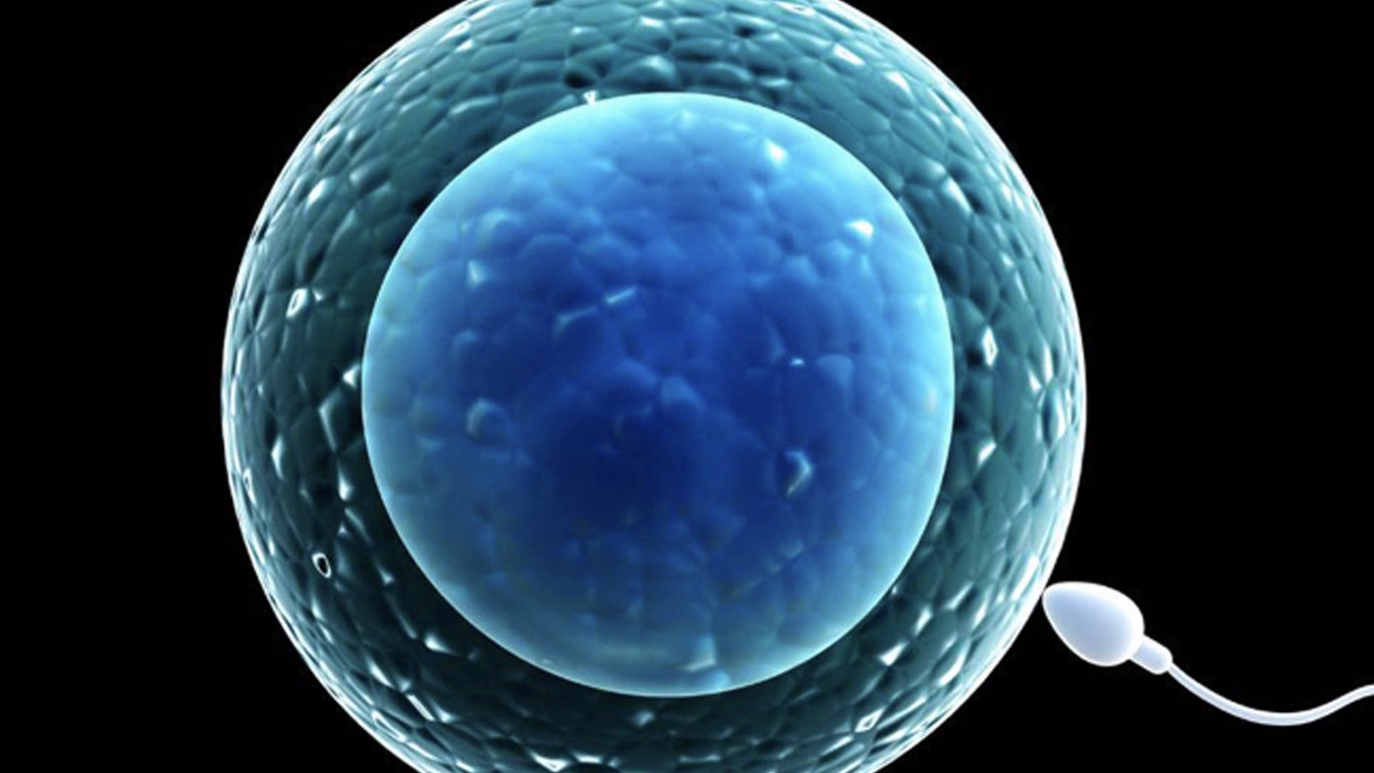 【健康】“大姨妈”又爱又恨，异常子宫出血到底是怎么回事？