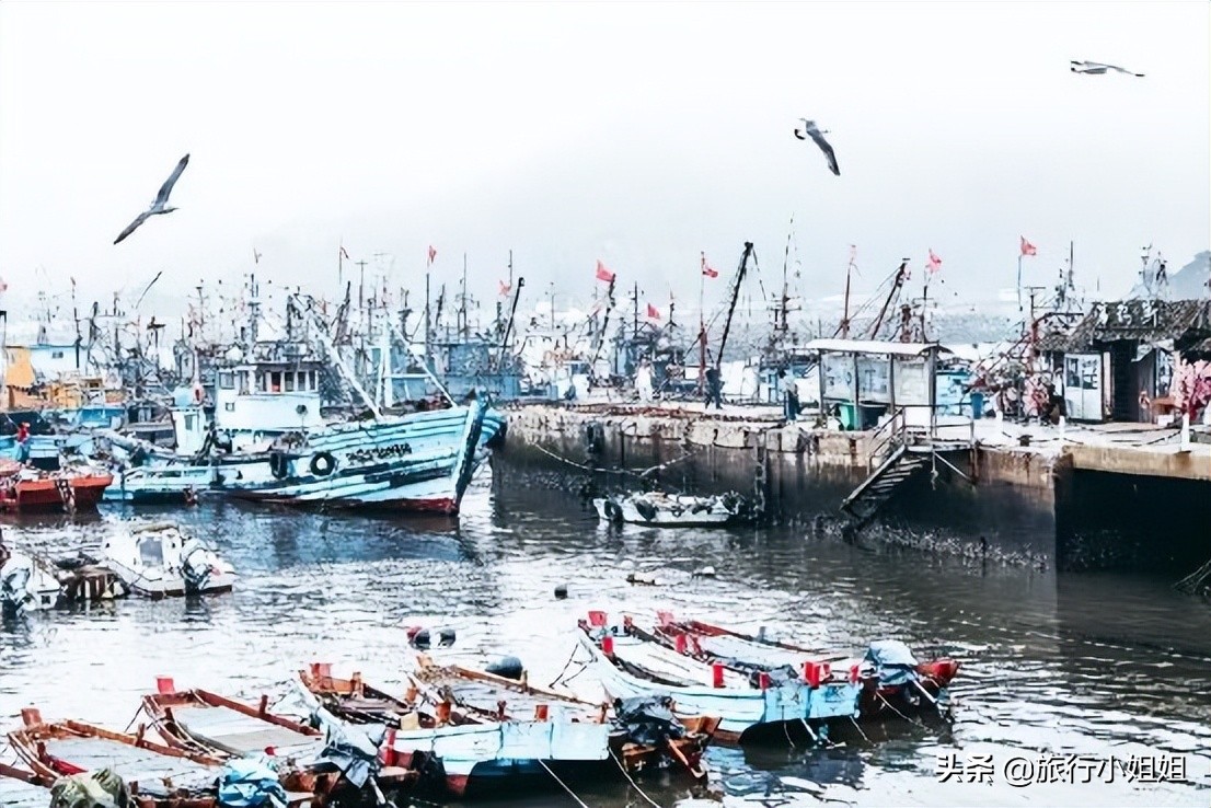 夏日海边微醺氛围感,滨城风光秀丽浪漫气息爆表
