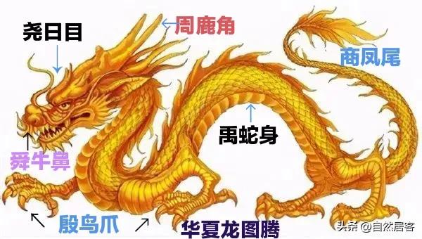 #你知道华夏文化是什么时候开始断代的吗?#