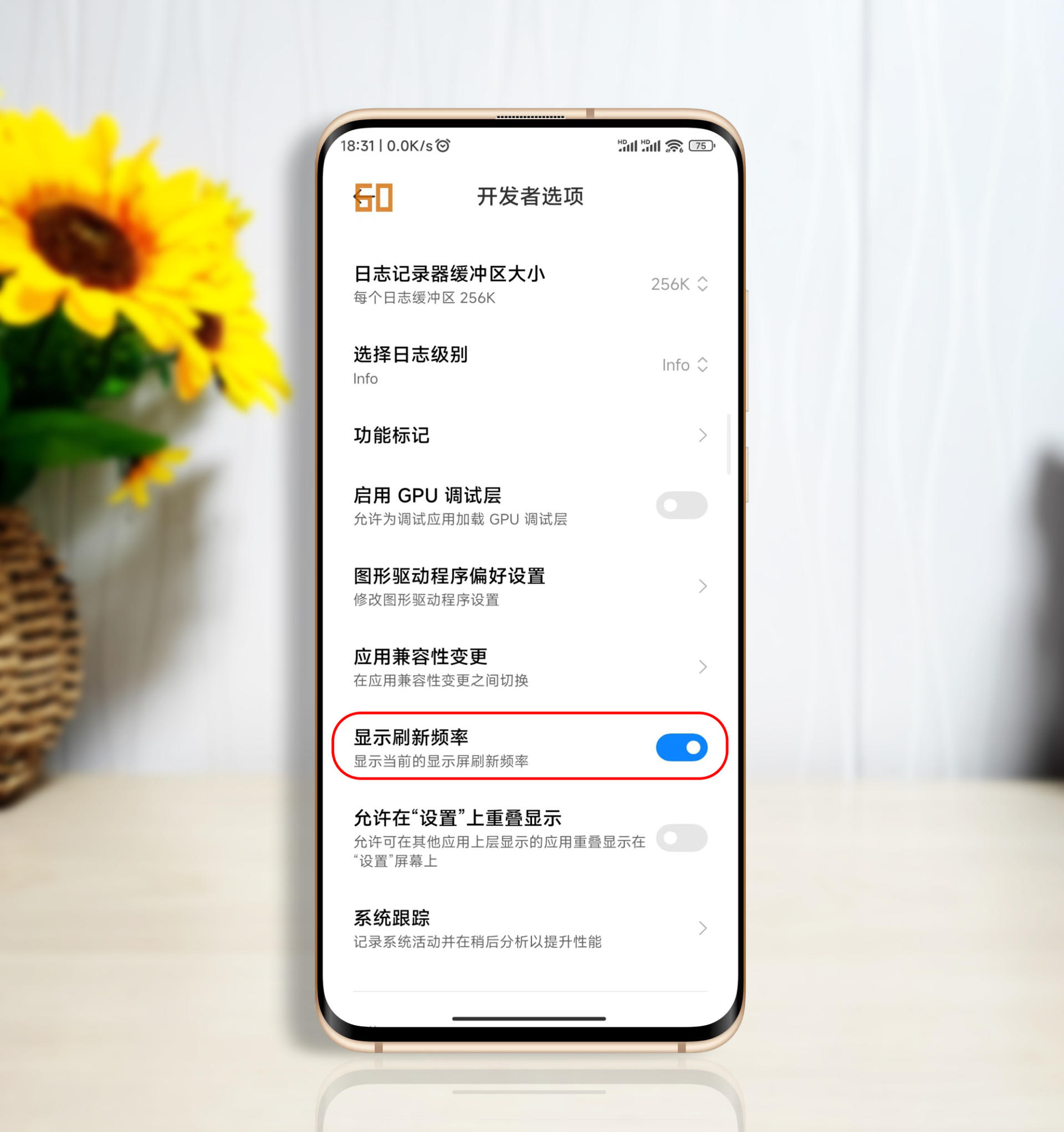 miui13怎么进入开发者模式,小米miui13开发者选项在哪