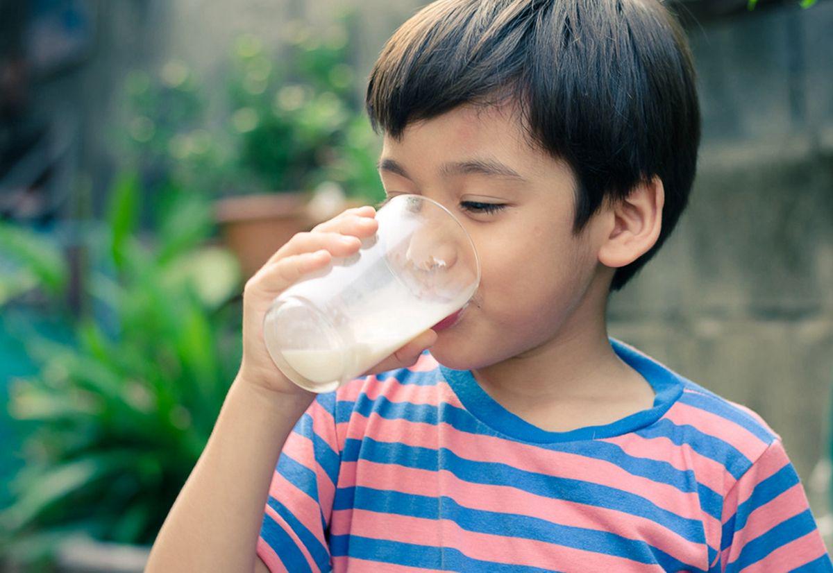 优质蛋白质排行榜牛奶排第二,纯牛奶蛋白质排行表