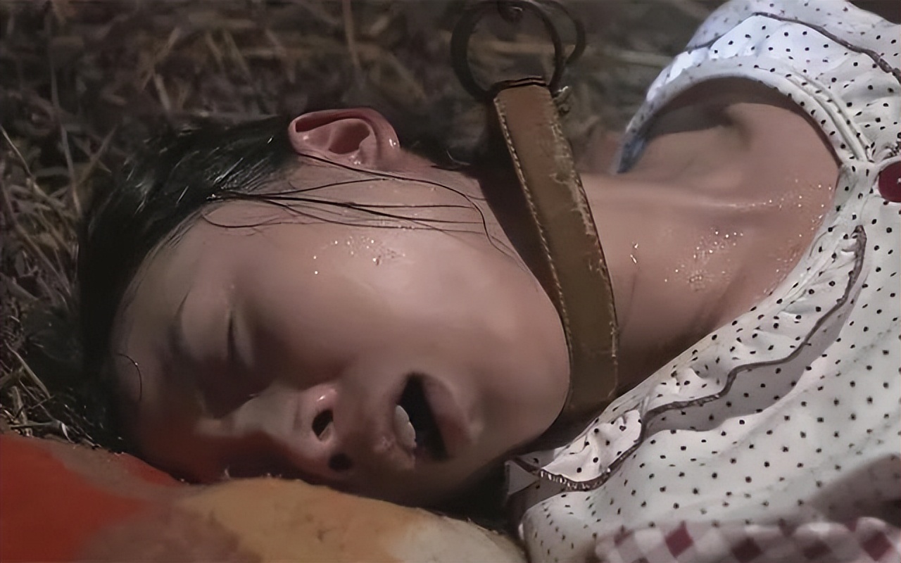 张明楷《刑法学讲义》解读一：序言部分