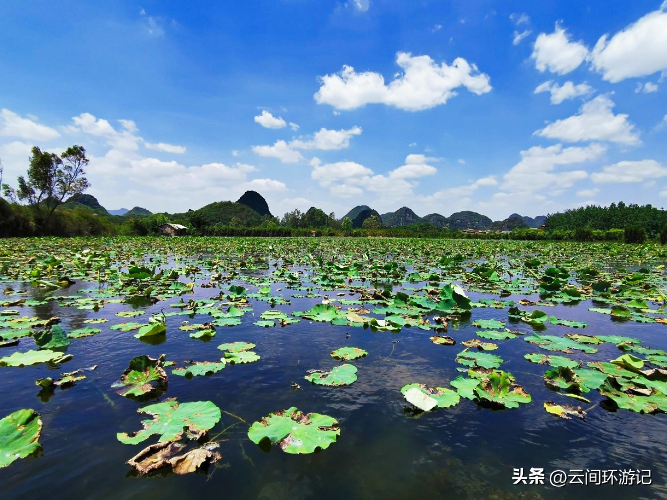 「流离在核酸检测时代的旅行」(普者黑）