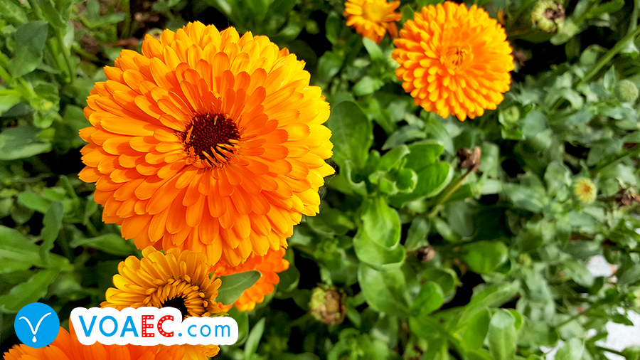 你应该了解一下地道的英文怎么说,有空一起睡觉用英文怎么说