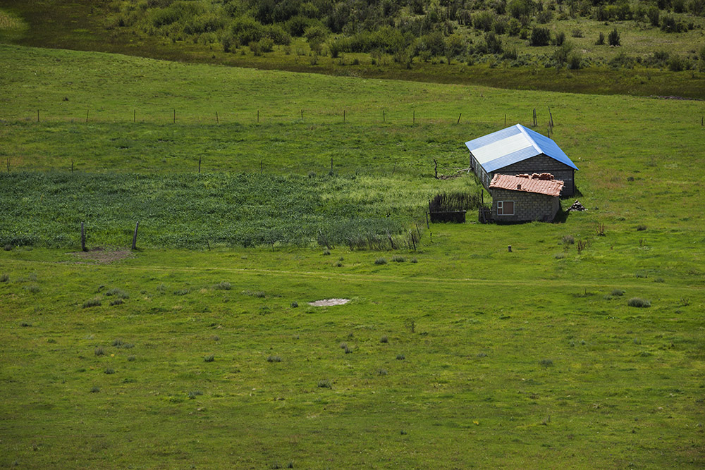 西部大草原旅游攻略,四川红原大草原自驾旅游攻略