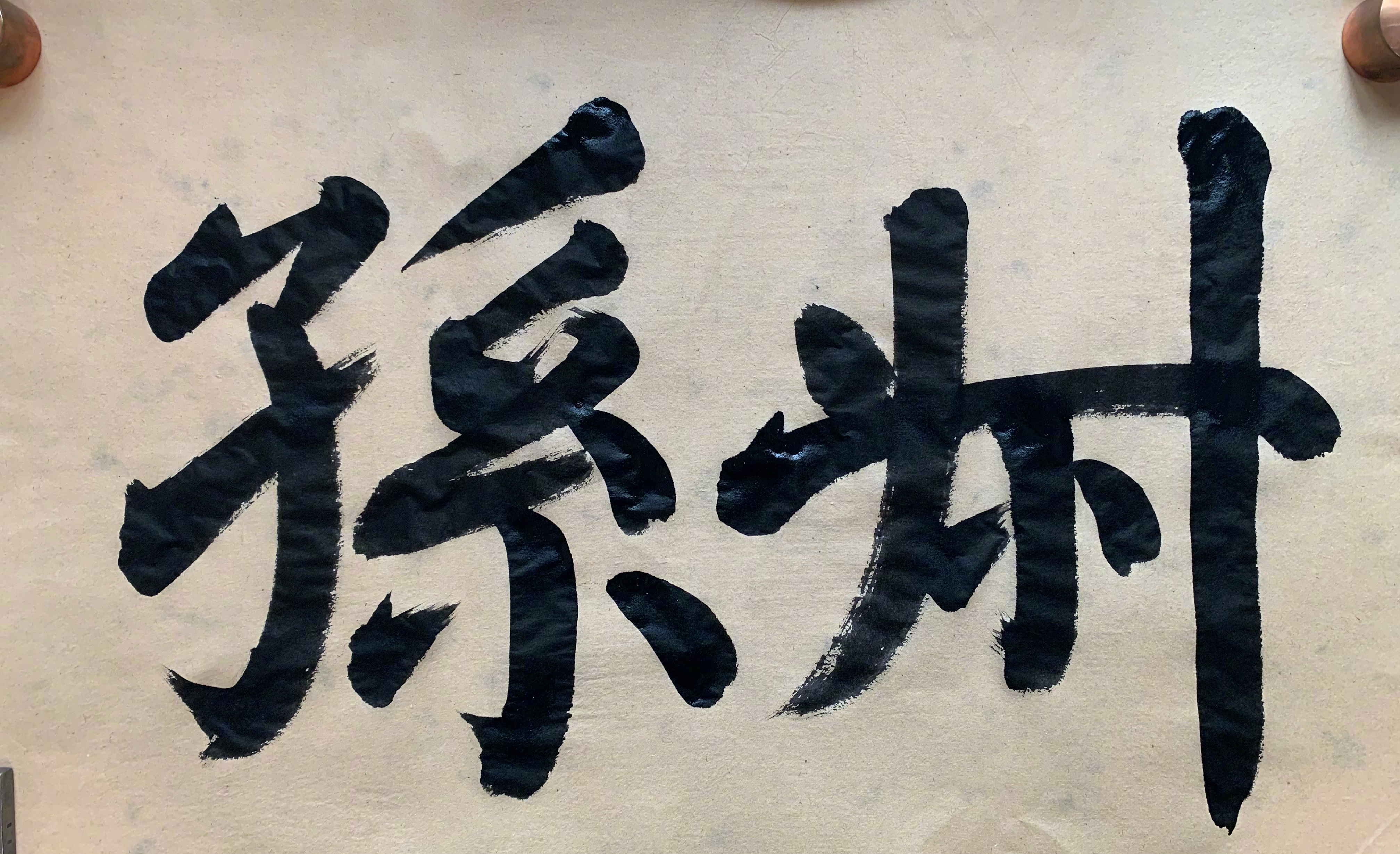 演员夏雨的毛笔楷书,夏雨最经典的作品