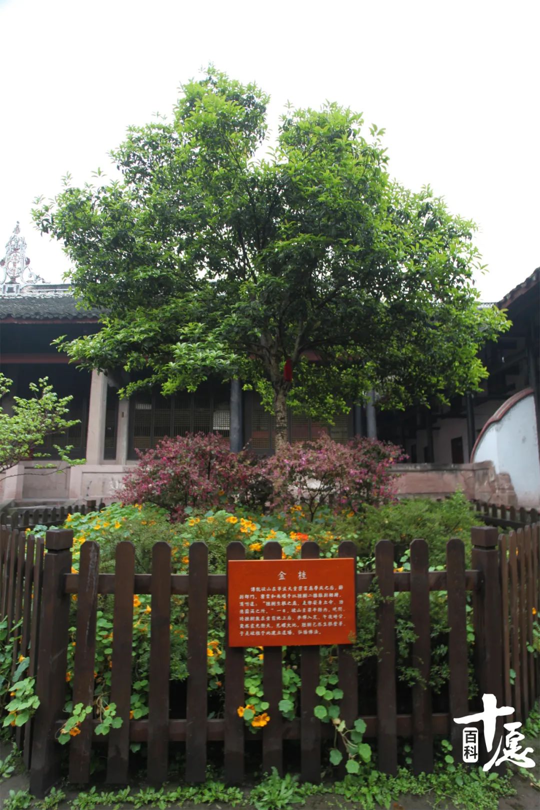 重庆双桂堂旅游攻略,重庆梁平双桂堂一日游