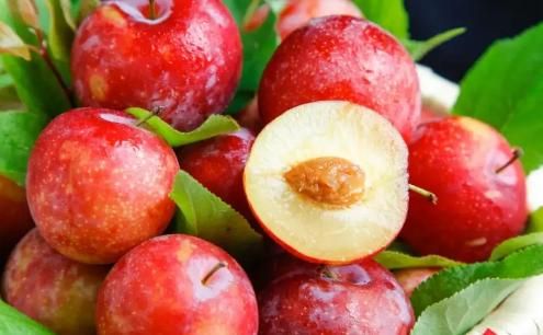 李子不能多吃是真的吗,李子不能多吃是吗