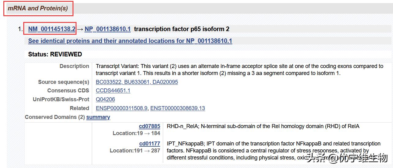真核原核生物细胞壁,真核生物标记基因