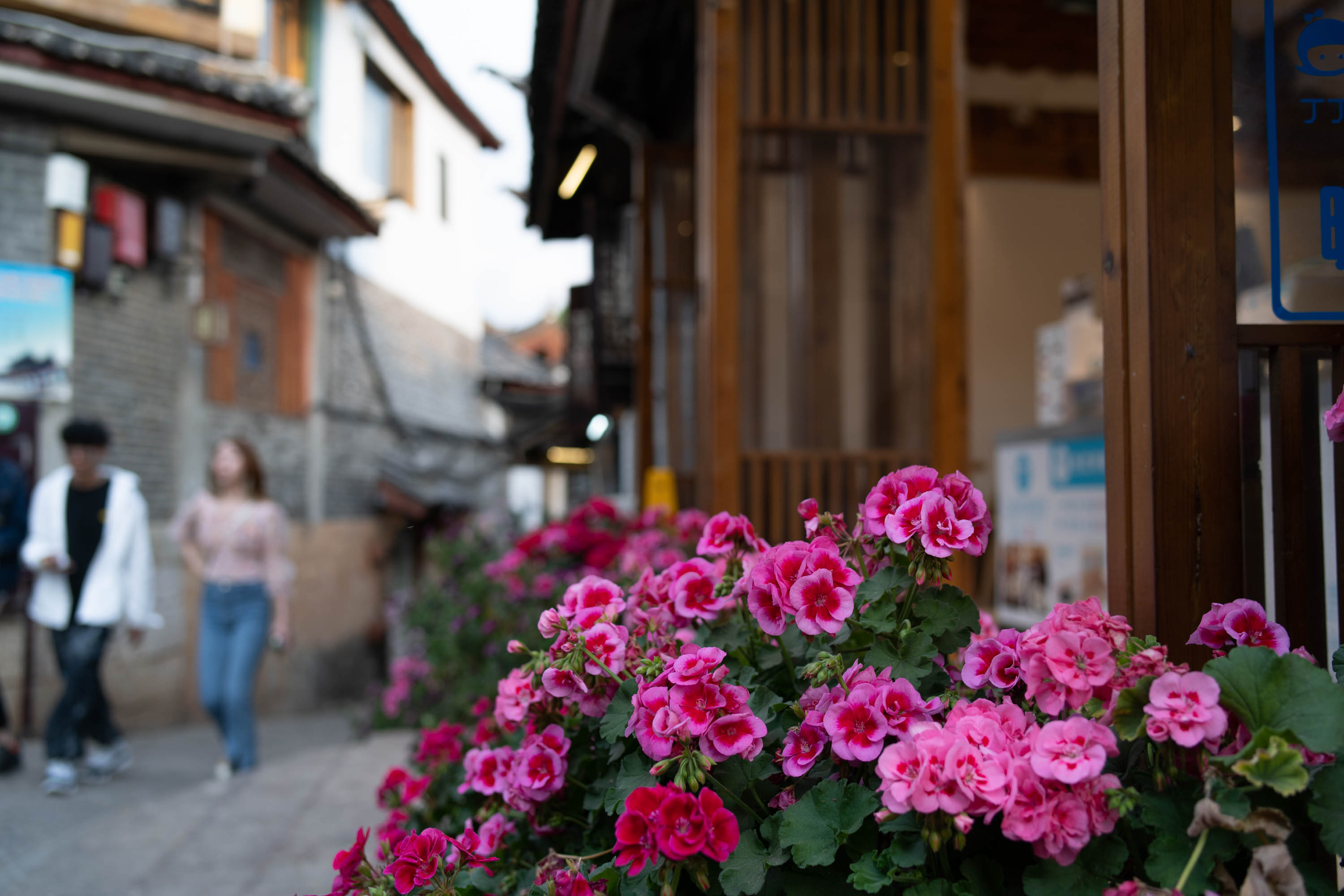 去云南跟团一日游攻略图片大全集,云南跟团六日游攻略大全图片