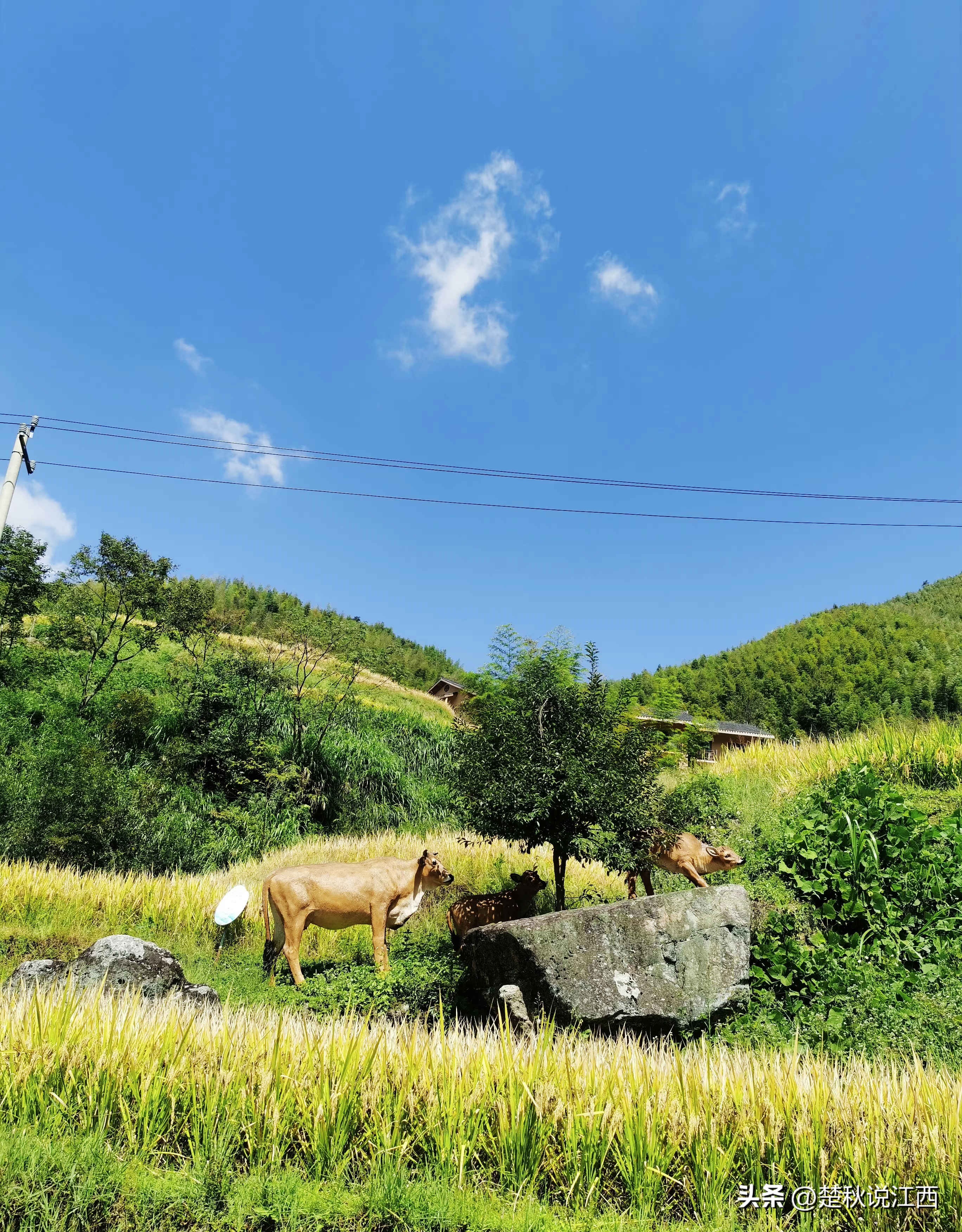 江西有哪些梯田风景区,江西梯田排名前十的梯田