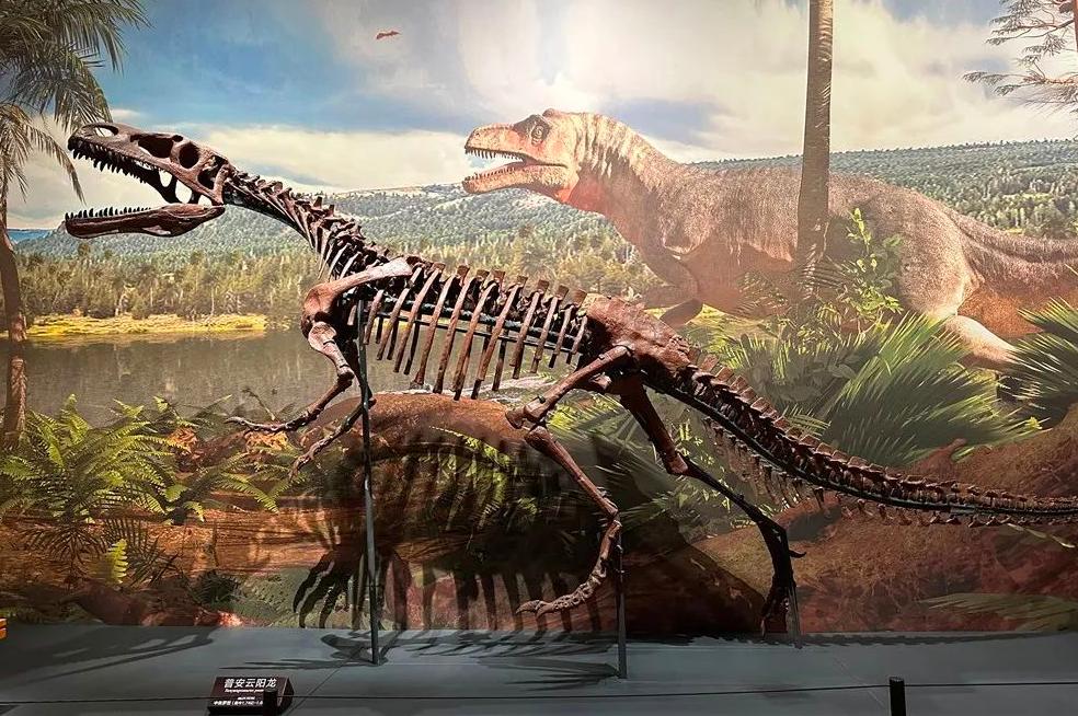 重庆自然资源科普馆有讲解吗,重庆自然资源科普馆一共几个馆