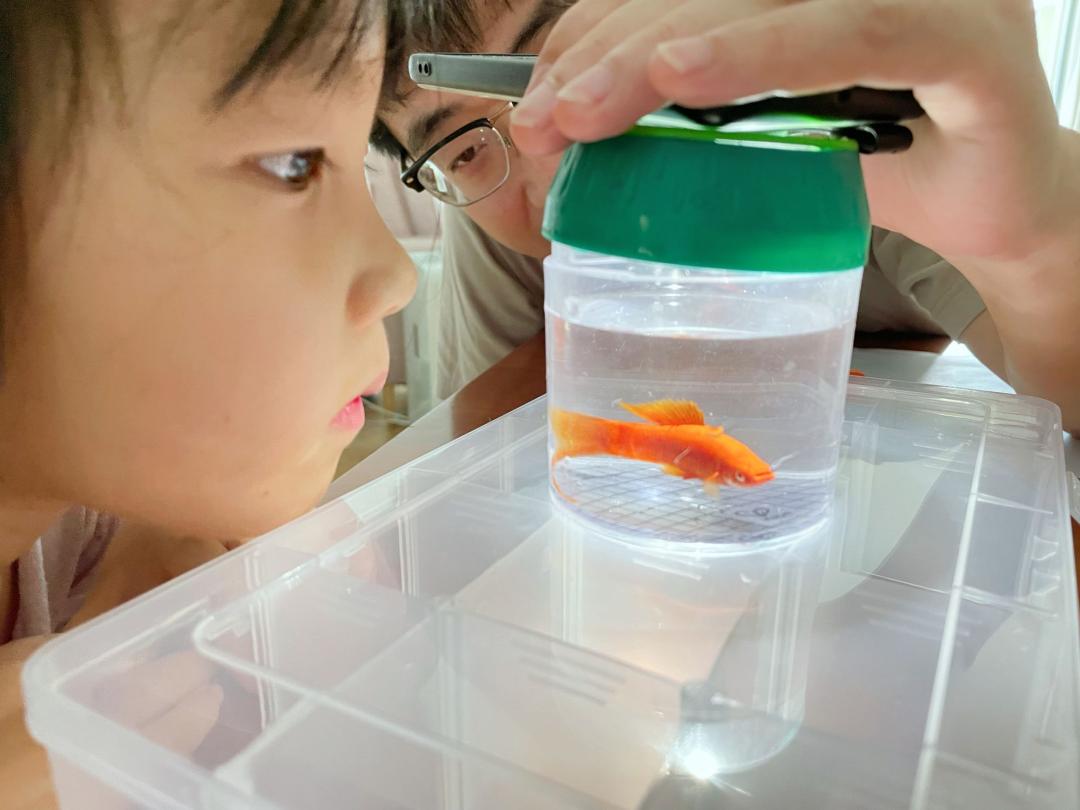 当孩子问你问题怎么回答,孩子问什么都不说怎么沟通