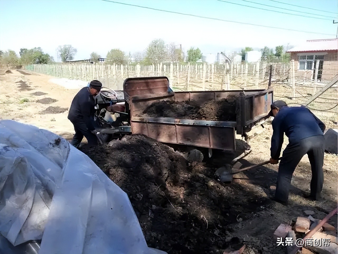 5万回农村做什么生意比较好,三年后回到老家做什么生意好