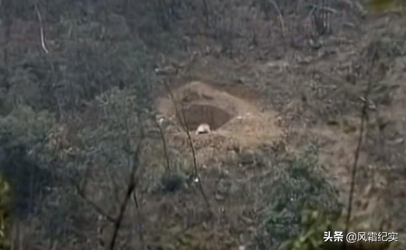 湖南男子失踪事件,湖南小伙走失十年后见到亲人