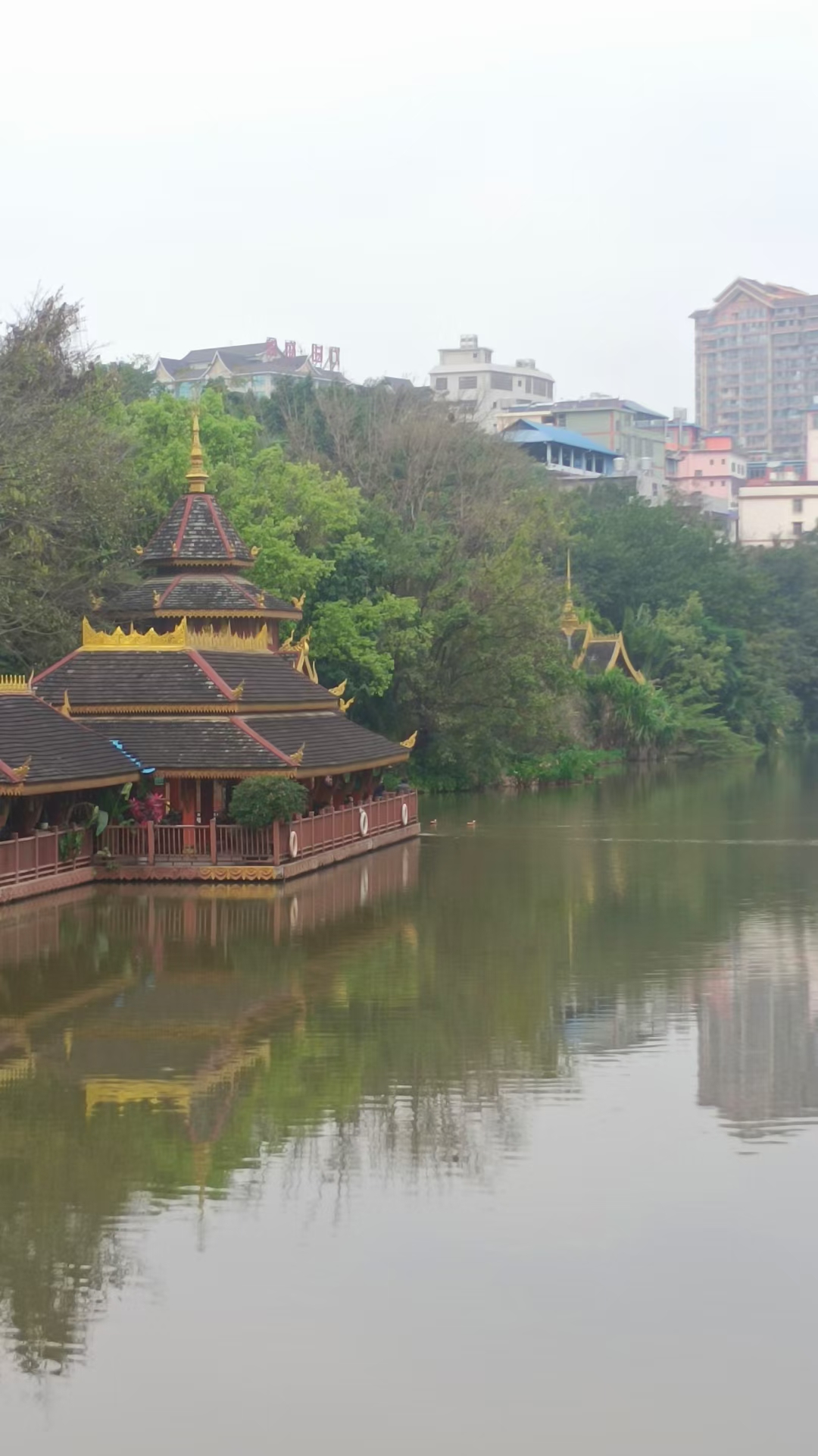 西双版纳曼听园攻略,云南西双版纳打卡曼听公园