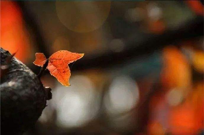 唐诗宋词最经典的诗词,最有诗意的唐诗宋词