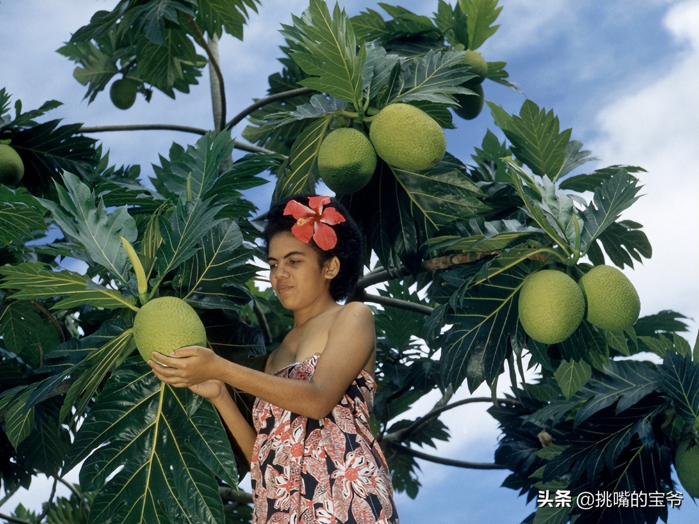 苏里南中国春节,苏里南的特色水果是什么