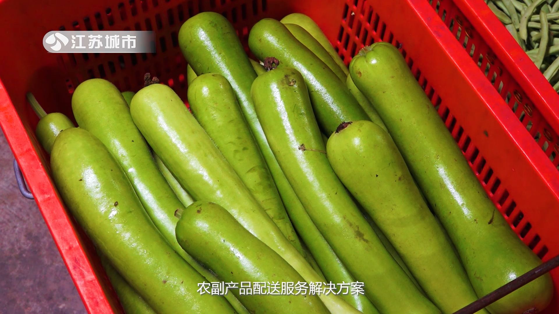 南京顺九,南京顺九发农业生态科技有限公司