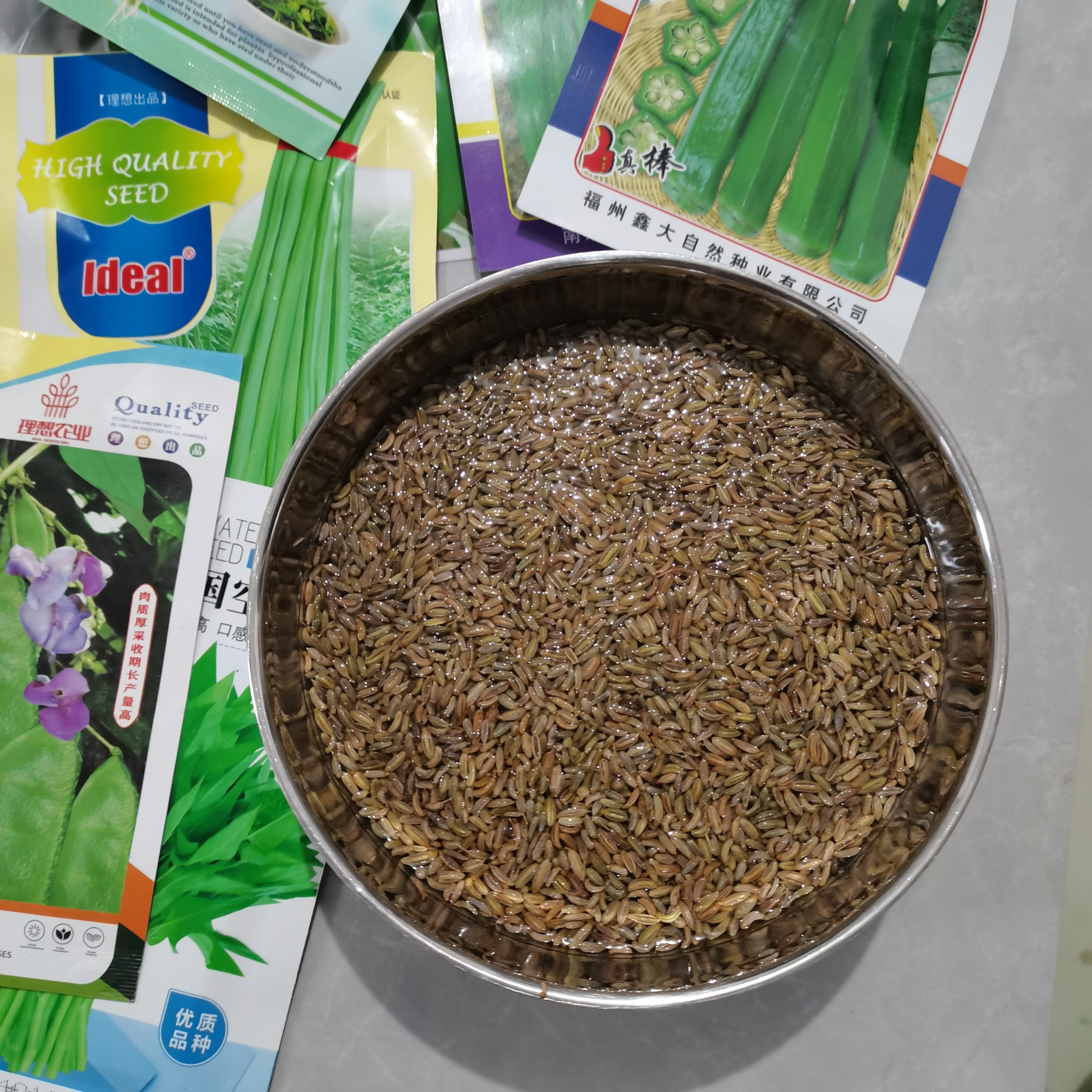 我把小茴香撒在了上海大地上,家乡的味道!