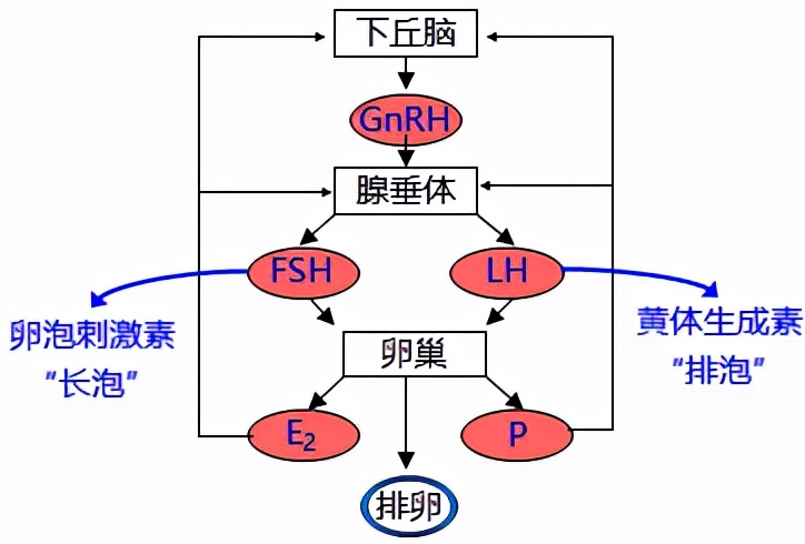 怕ta不来，又怕ta乱来！女生关于月经那点事儿