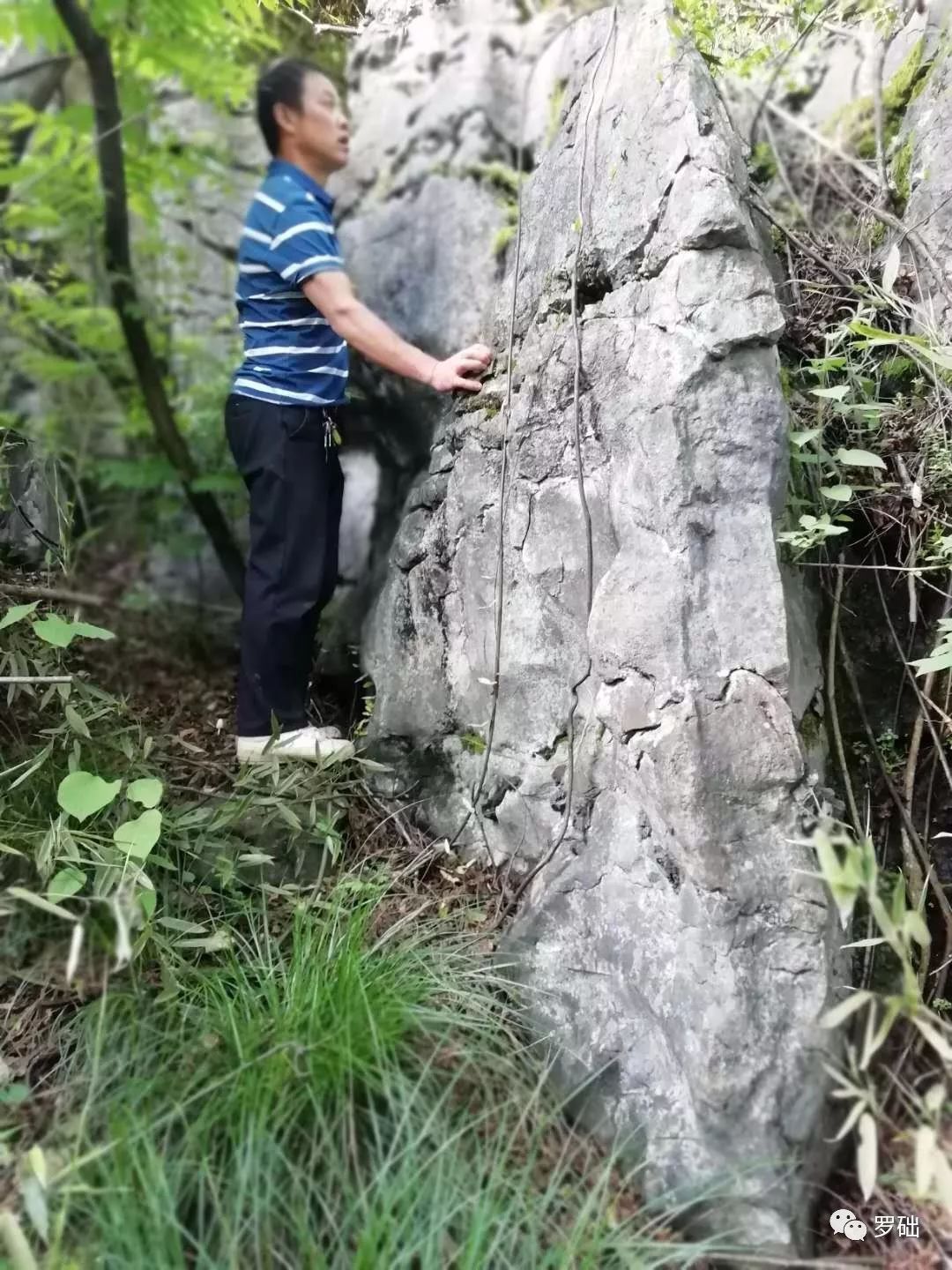鐭虫湪灞卞,鐭虫湪瀵ㄥソ椋庡厜