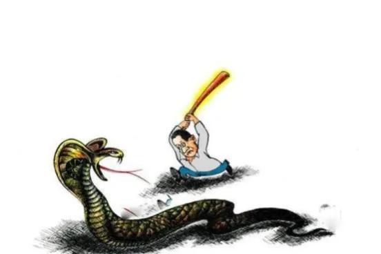 菜花蛇被称为“百蛇之王”,菜花蛇和菜花蛇王的区别