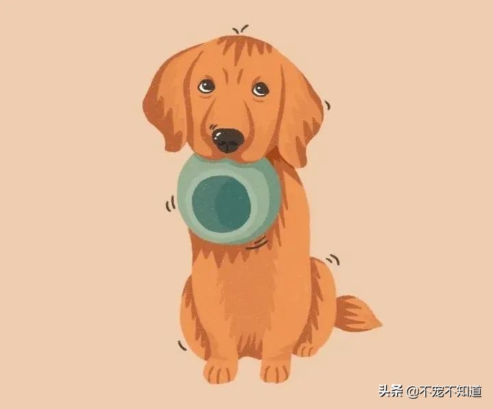 狗狗吐血是什么状况,狗狗吐血了是什么原因造成的