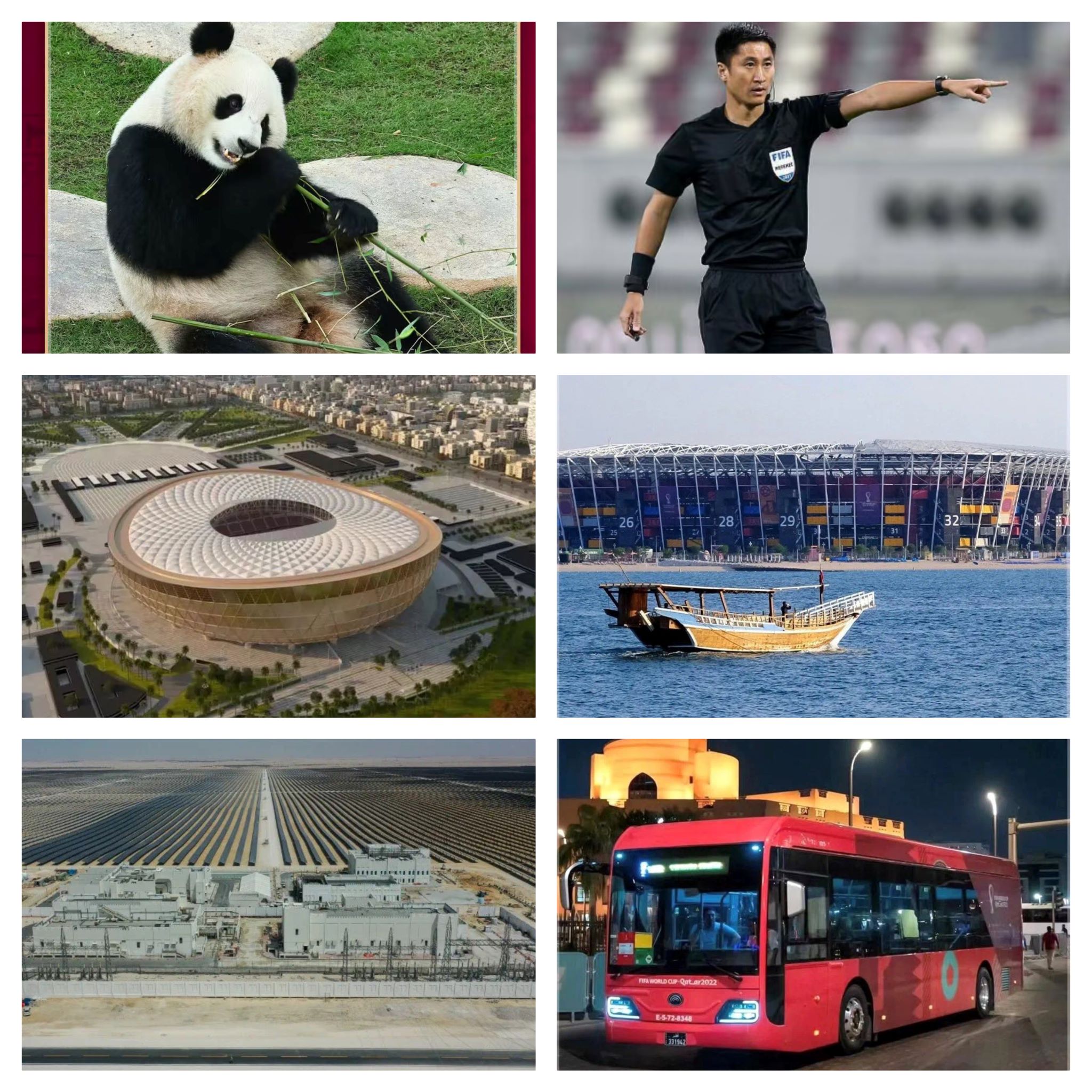 郑州高新区外国语小学文化节直播,郑州高新区实验小学足球比赛