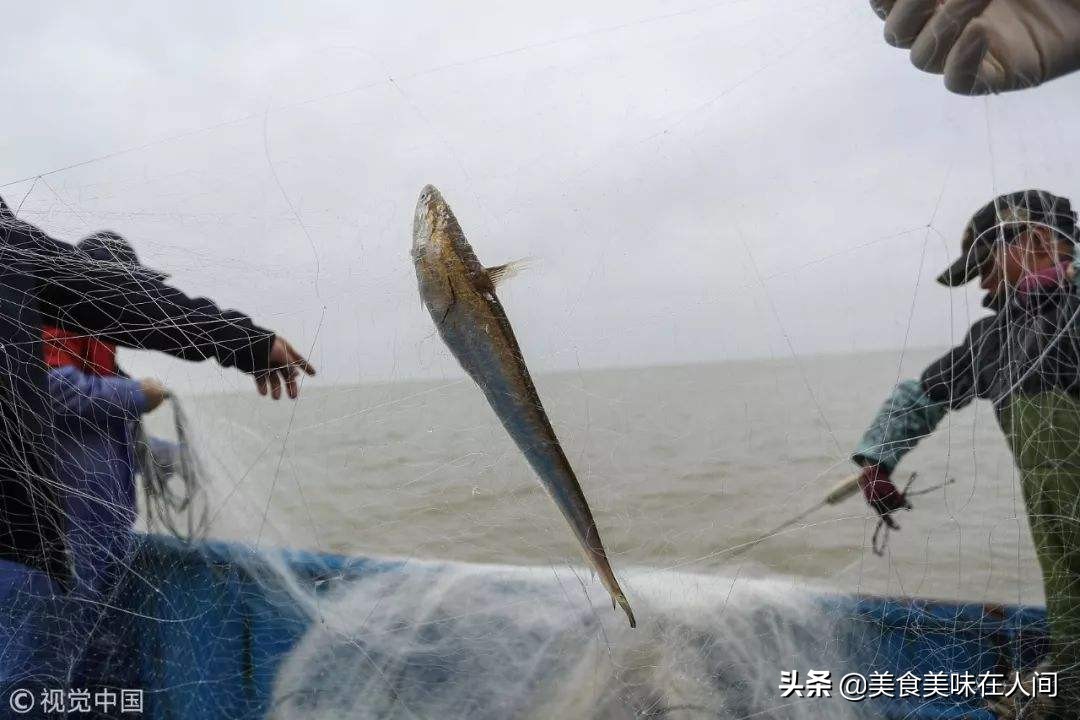 探秘美食记,探秘海鲜美食