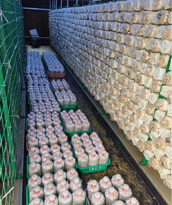 一谷一城乡村振兴强大引擎,乡村振兴星光行动