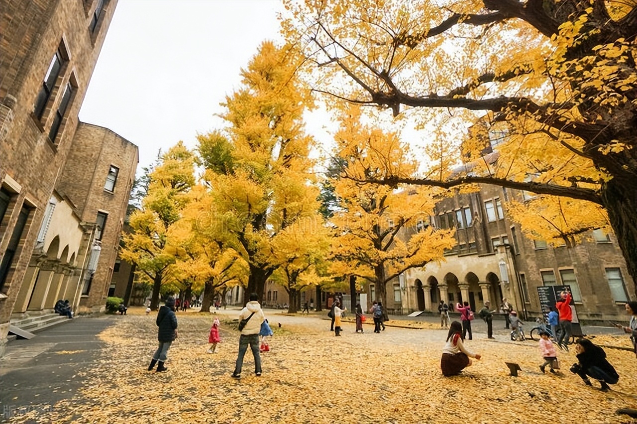 亚洲第一高校东京大学